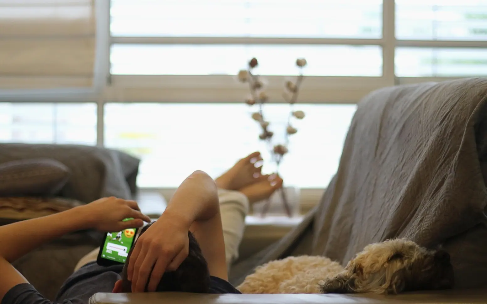 Boy, dog and sofa