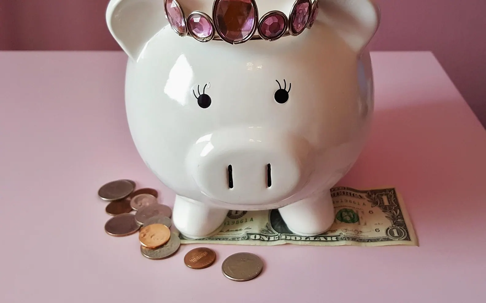 Piggy bank, pig and piggy